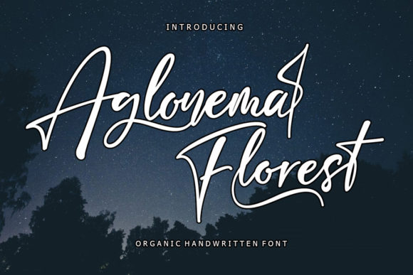 Aglonema Florest: A Charming Script Font for Handmade Brands