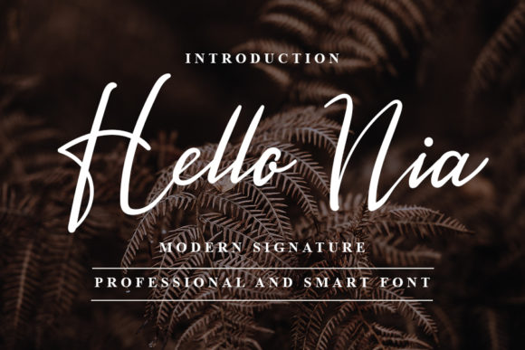 Hello Nia: A Designer’s Honest Review for Real Projects