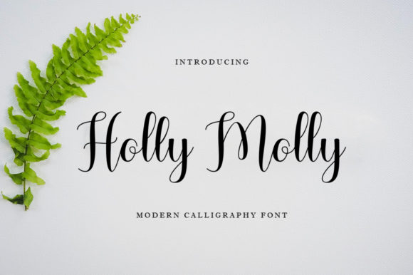 Holly Molly: A Script Font for Polished Brand Identity