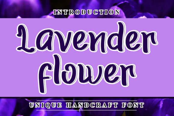 Lavender Flower: A Designer’s Take on This Script Amp Typeface