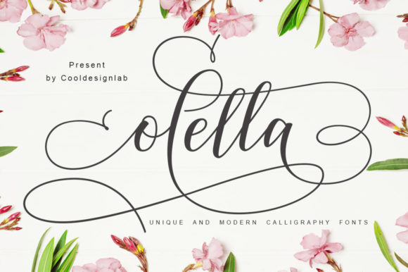 Olella: The Romantic Script Font for Handmade Brands